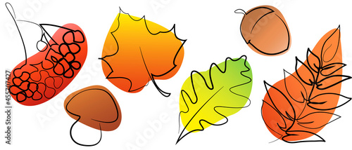 Set of autumn elements icon in one line art style. Isolated autumn leaves on white background. One continuous line drawing art illustration