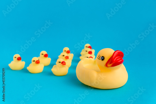 Cute duck toys in blue studio