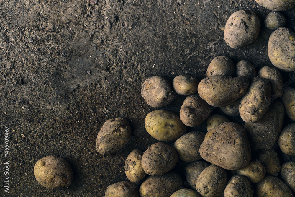Close-up of a pile of potatoes on the ground Close-up of a pile of potatoes on the ground