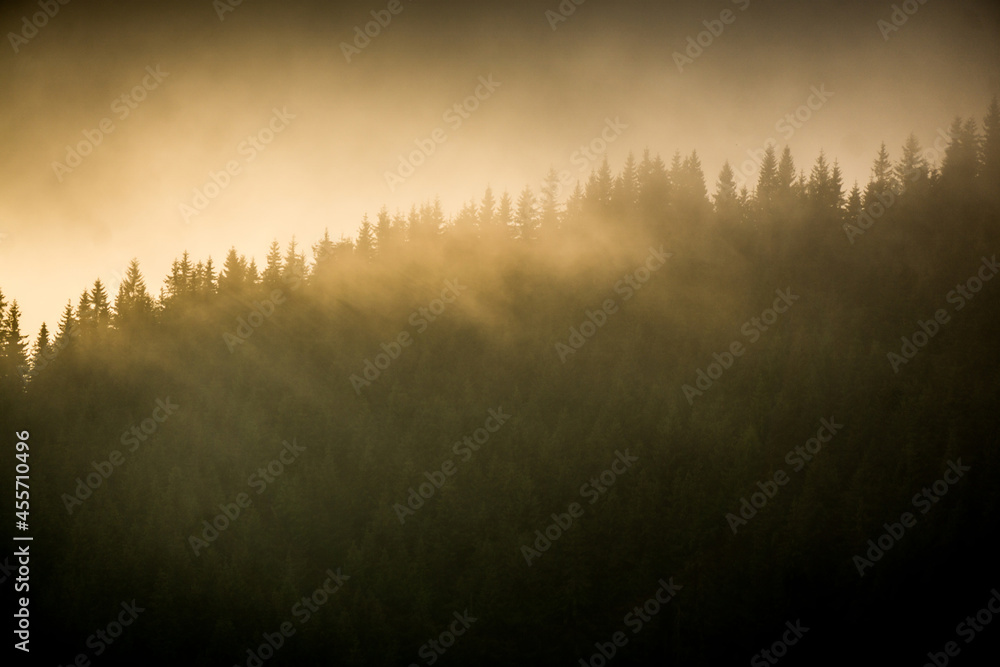 Sunset over forest in Carpathians Sunset over forest in Carpathians