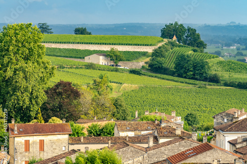 Vineyards on the hills of Saint-Emilion, Gironde, Nouvelle Aquitaine, France photo