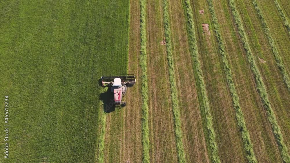 Nice aerial view of a combine harvester in a field that mows green grass. Harvesting, hay, fodder, silage for animal or livestock feed is in progress. Agriculture business concept. Russia. UHD 4K. Nice aerial view of a combine harvester in a field that mows green grass. Harvesting, hay, fodder, silage for animal or livestock feed is in progress. Agriculture business concept. Russia. UHD 4K.