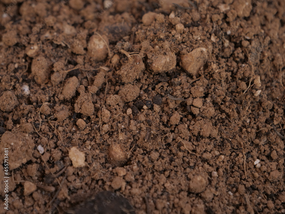 soil soil