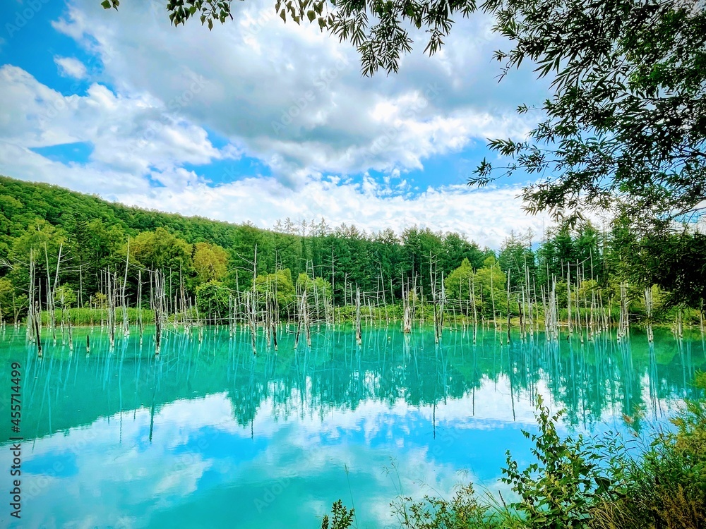 lake in the forest