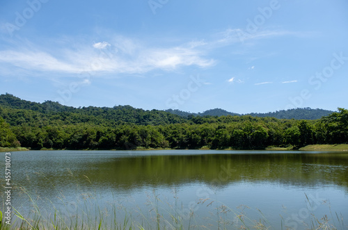 The small quiet lake of the reservoir with the grass flower in the foreground.