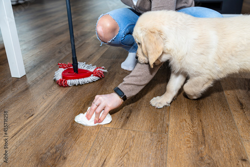 Εκτύπωση καμβά A woman wiping piss on a puppy off modern water resistant vinyl panels with a paper towel and mop, next to a disturbing puppy