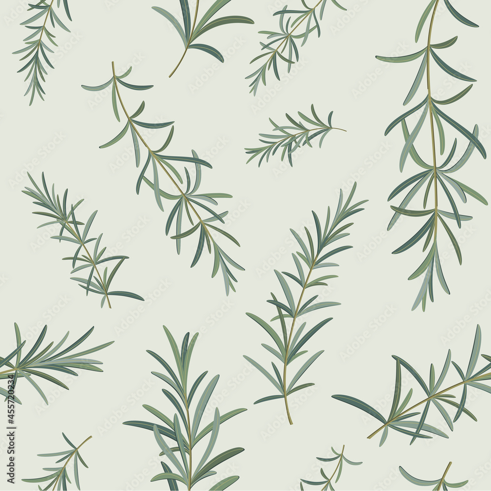Branch of rosemary. Trendy pattern with twig. Contour vector illustration on white background.