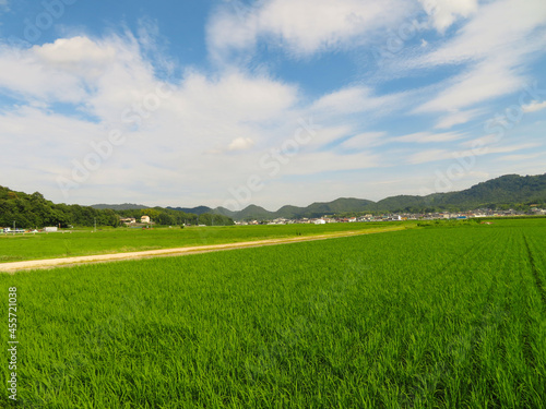 岡山県総社市の田園風景と山並み