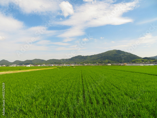岡山県総社市の田園風景と山並み