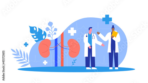 Doctor people team human kidney study concept