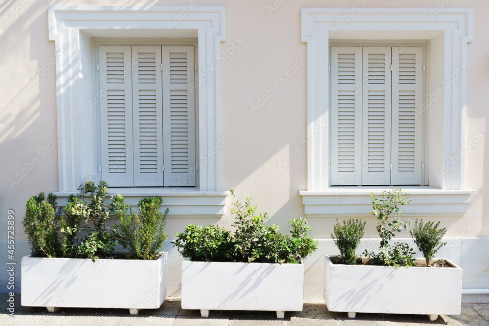 White antique windows in a light beige wall. Green plants outdoors near house.
Athens, Greece.