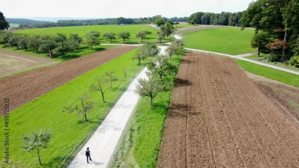 Drohnenvideo, Spaziergängerin durch eine Apfelbaumallee Drohnenvideo, Spaziergängerin durch eine Apfelbaumallee