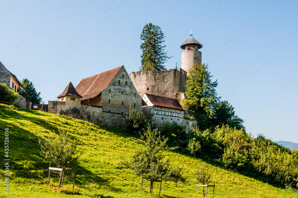 Arlesheim, Schloss Birseck, Ermitage, Dornach, Birseck, Landwirtschaft, Wald, Spazierweg, Wanderweg, Baselland, Sommer, Schweiz
