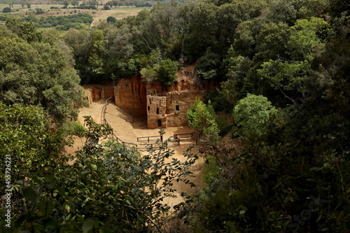 The Etruscan Necropolis of the Populonia Caves emerges among the vegetation. Archaeological Park of Baratti and Populonia. Tuscany - Italy photo