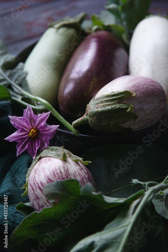 White, green, violet and striped eggplants on dark wooden table .