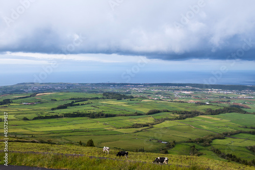 fields in the Terceira island