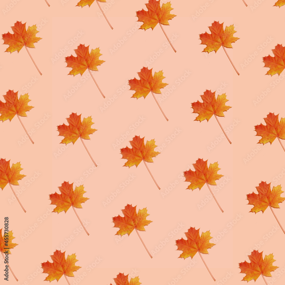 Pattern autumn maple leaf orange-red on orange background Pattern autumn maple leaf orange-red on orange background