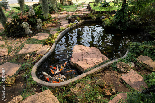 Pond, Koi Carp, Fish, Front or Back Yard, Japanese Garden