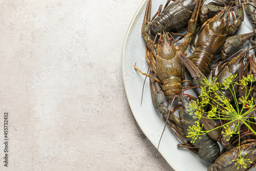 Fresh raw crayfishes with dill on light grey table, top view. Space for text