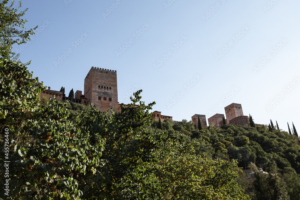 Alhambra tower surrounded by trees.