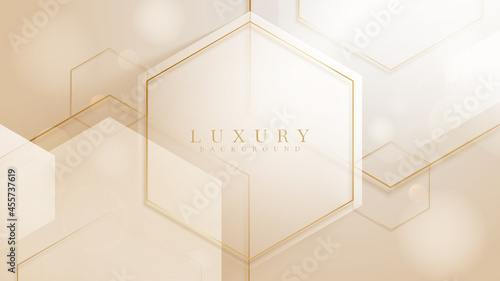 Luxury background with hexagon shape and golden line sparkling, Modern gradient cover design. 3d vector illustration.