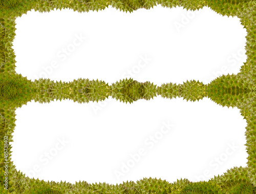 green durian volumetric framework barbed border on white background, asian exotic decoration