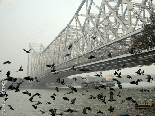 Seagull flying over a river and bridge beside Mullick Ghat flower market in India photo
