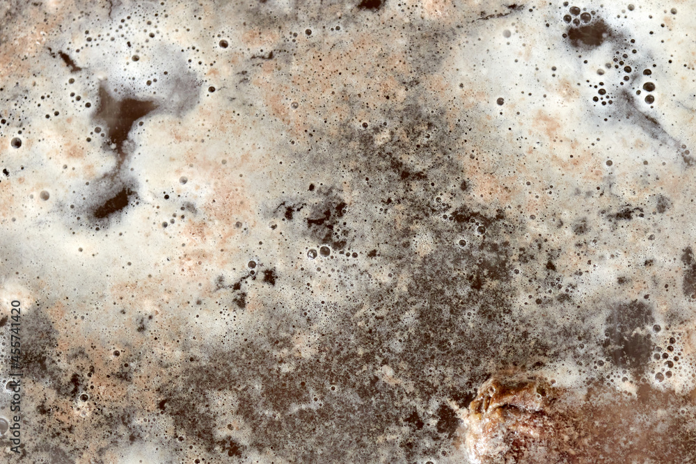 foam on the surface of the water during cooking meat foam on the surface of the water during cooking meat