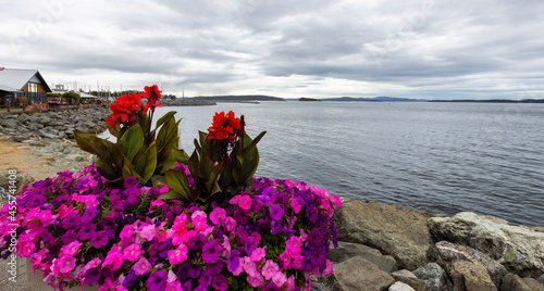 Scenic View of the flowers on the Pacific Ocean Coast during a cloudy summer day. Sidney, Victoria, Vancouver Island, British Columbia, Canada © edb3_16