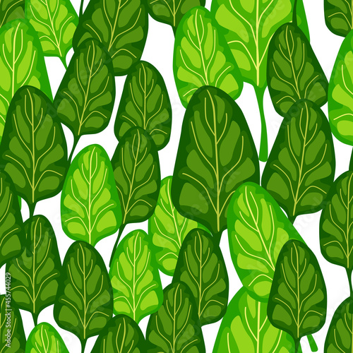 Seamless pattern Spinach salad on white background. Modern ornament with lettuce.