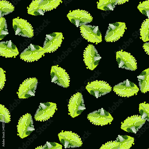 Seamless pattern lola rosa salad on dark green background. Modern ornament with lettuce.