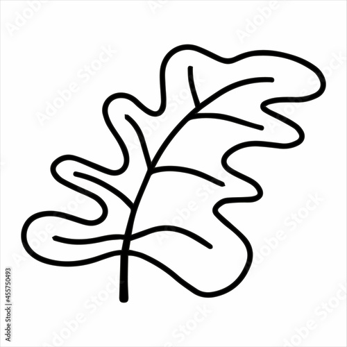 Cute doodle autumn vector oak leaf isolated on white on white background. Hand drawn vector illustration for coloring page and art books for adults and kids.