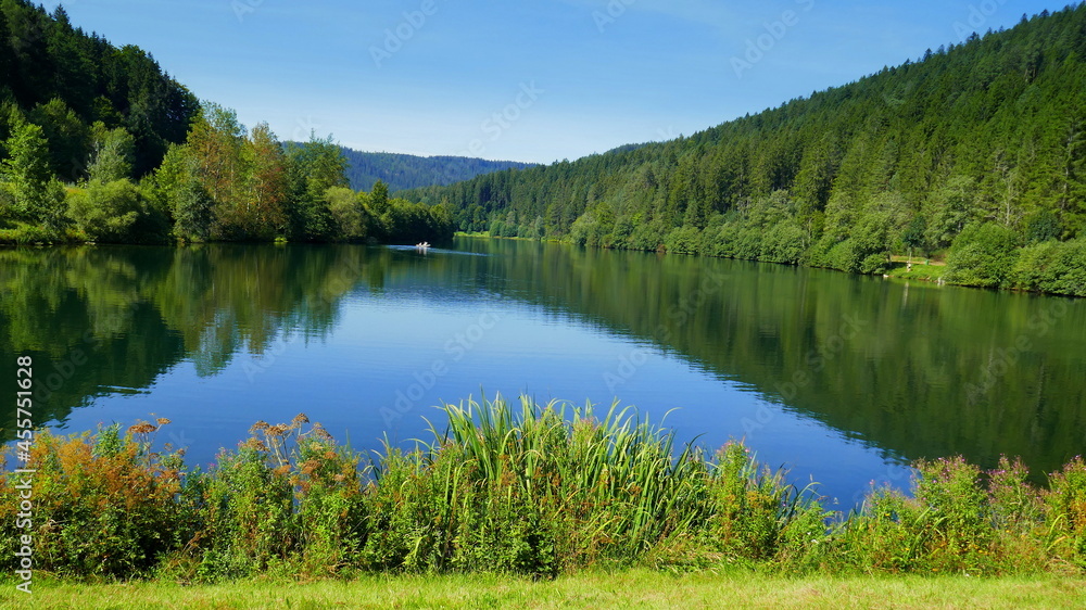 Fototapeta premium malerischer Stausee Erzgrube im Schwarzwald mit spiegelndem Wald im See unter blauem Himmel