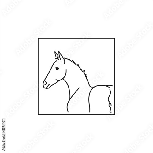 Portrait of a cute foal in a frame	
