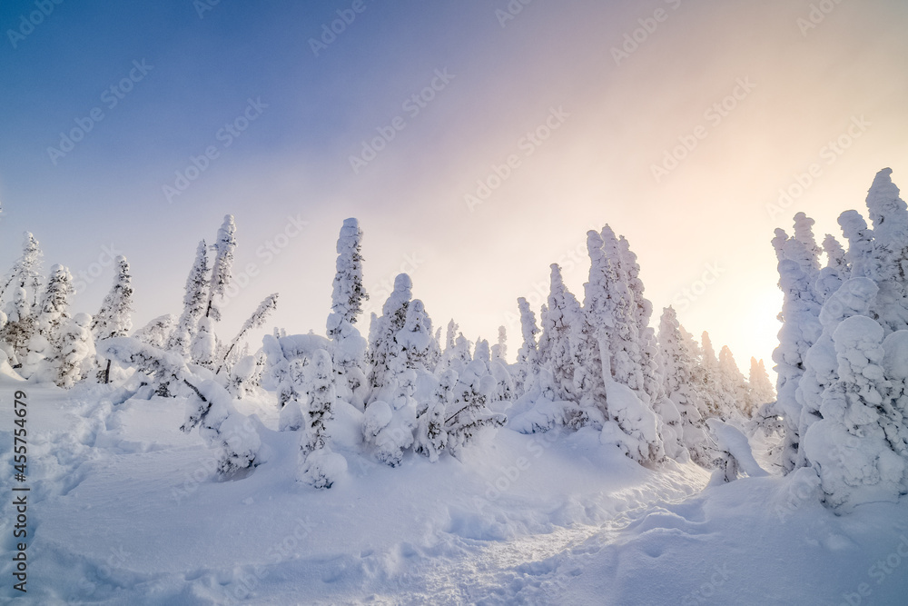 Fototapeta premium Magnificient sunrise over Hogs back mountain and forest at it's summit after the snowstorm, Quebec, Canada
