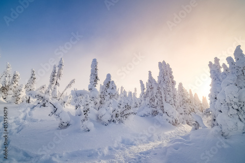 Magnificient sunrise over Hogs back mountain and forest at it's summit after the snowstorm, Quebec, Canada © David