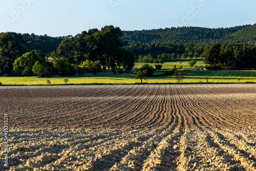 Bilde på lerret Cultivated field with tilled soil in the farm.