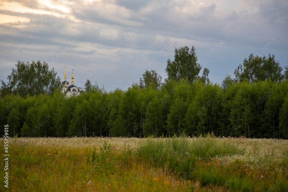 The field, the forest behind it, the domes of the church are visible behind the forest.