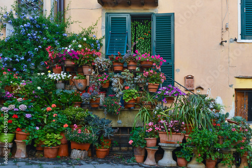 A collection of potted plants in front of an old house in summer, Tuscany, Italy