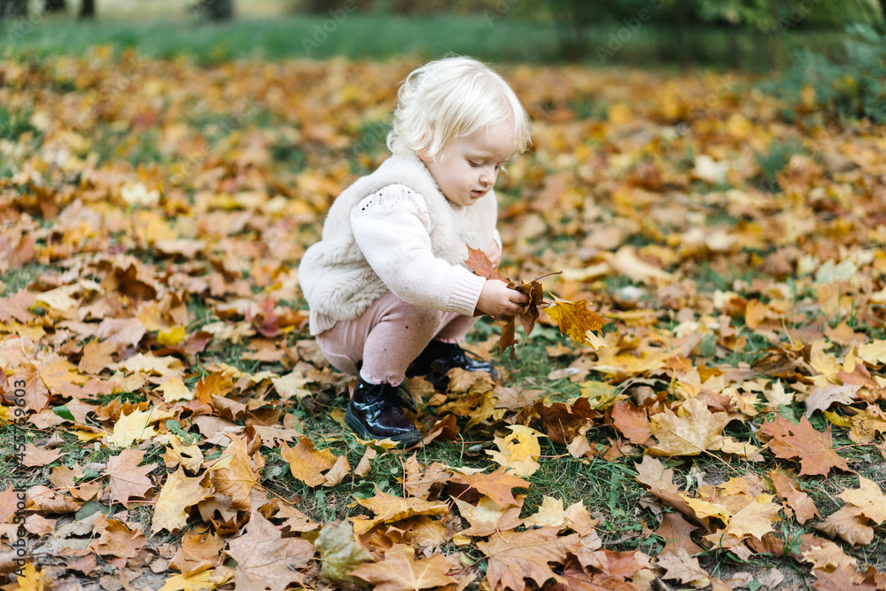 Baby girl playing with fallen leaves in park Baby girl playing with fallen leaves in park