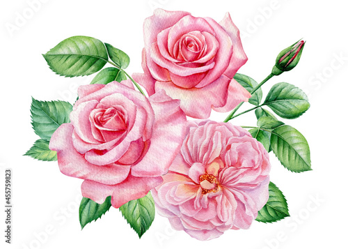 Bouquet pink rose, beautiful flower on isolated white background, watercolor illustration for wedding