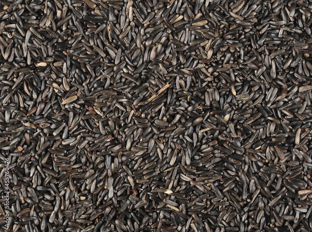 Bird niger seed (Guizotia abyssinica) background and texture, top view