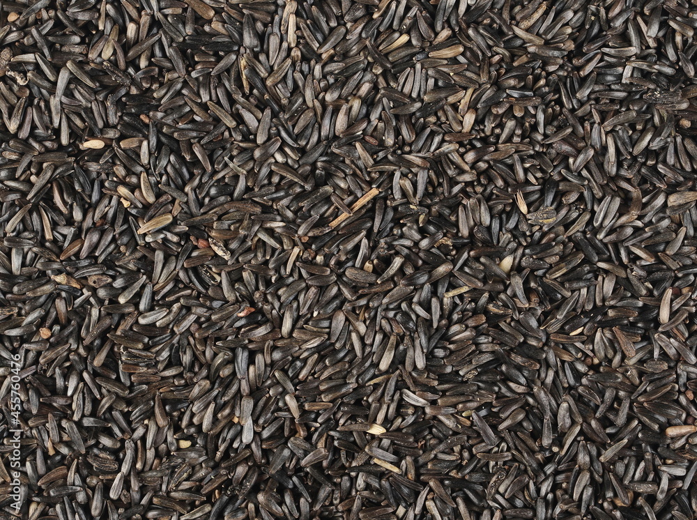 Bird niger seed (Guizotia abyssinica) background and texture, top view Bird niger seed (Guizotia abyssinica) background and texture, top view