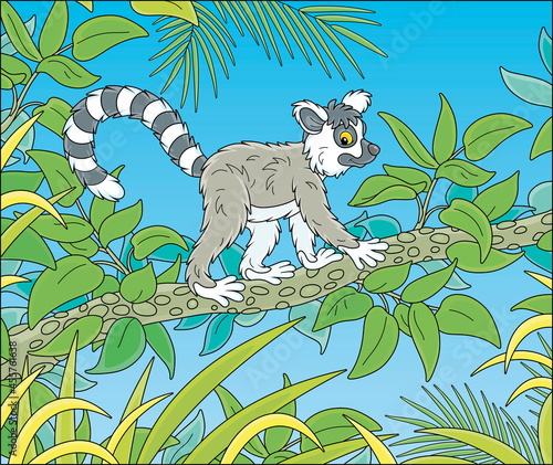 Exotic tropical Madagascar ring-tailed lemur walking in thickets of a rainforest, vector cartoon illustration isolated on a white background