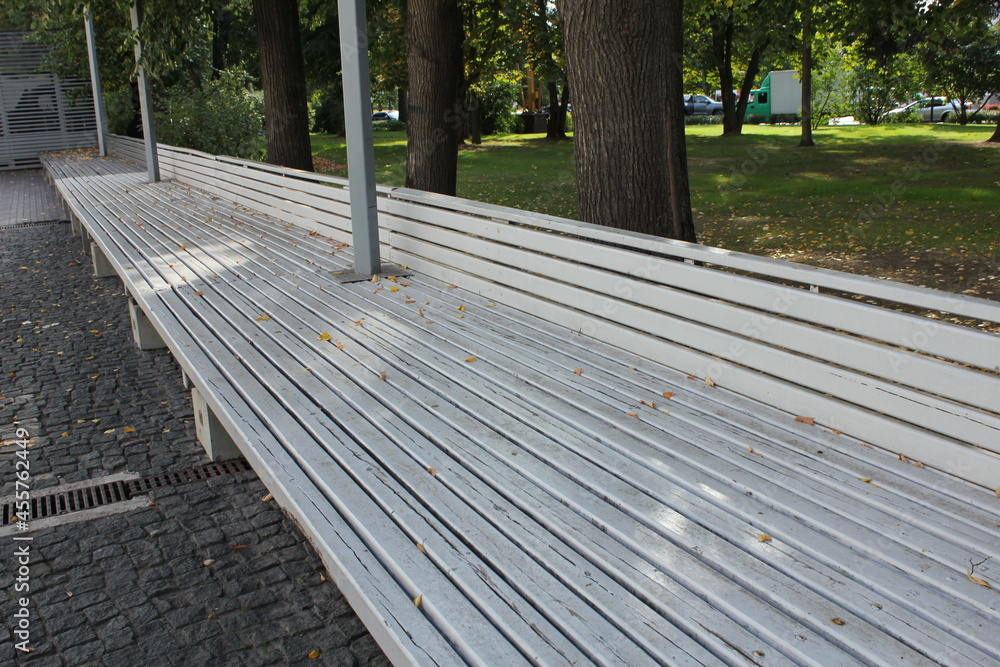 Perspective view of a long wooden bench with green trees in the background. Perspective view of a long wooden bench with green trees in the background.