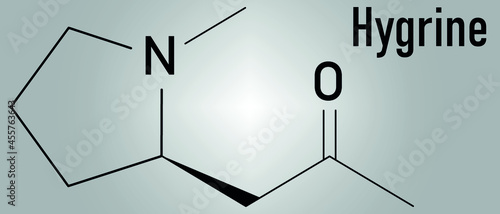 Hygrine coca alkaloid molecule. Skeletal formula.