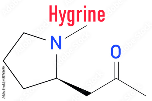 Hygrine coca alkaloid molecule. Skeletal formula.