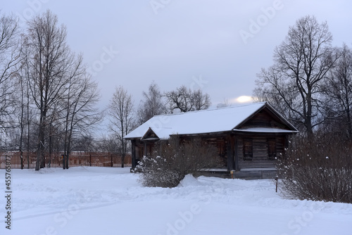wooden house and trees in the Russian village in winter © Evdoha