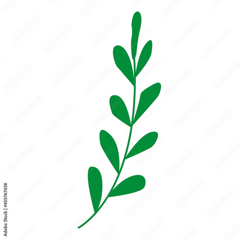 Hand drawn abstract green branch with leaves isolated. Floral element. Cartoon style. Summer, spring or autumn. Nature and ecology. For post cards, posters, social media, textile, prints, wallpaper