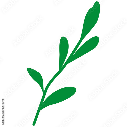 Hand drawn abstract green branch with leaves isolated. Floral element. Cartoon style. Summer, spring or autumn. Nature and ecology. For post cards, posters, social media, textile, prints, wallpaper